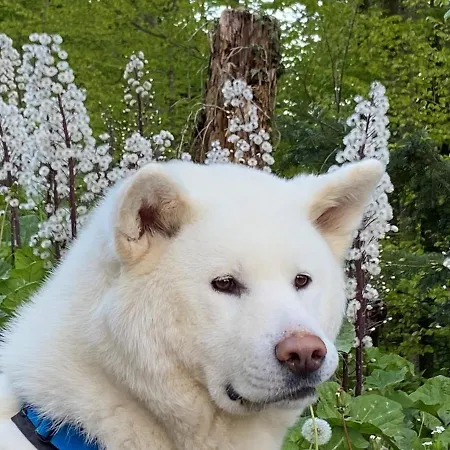 Habitación en casa particular Doppelzimmer In Charmantem