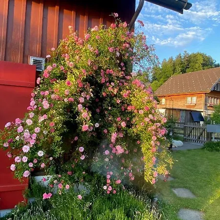 Homestay Doppelzimmer In Charmantem Hemberg
