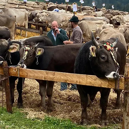 Doppelzimmer In Charmantem * Hemberg