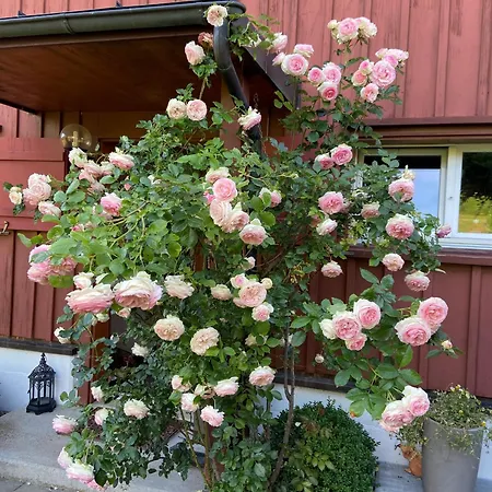 Ursulas View Rum i privatbostad Hemberg