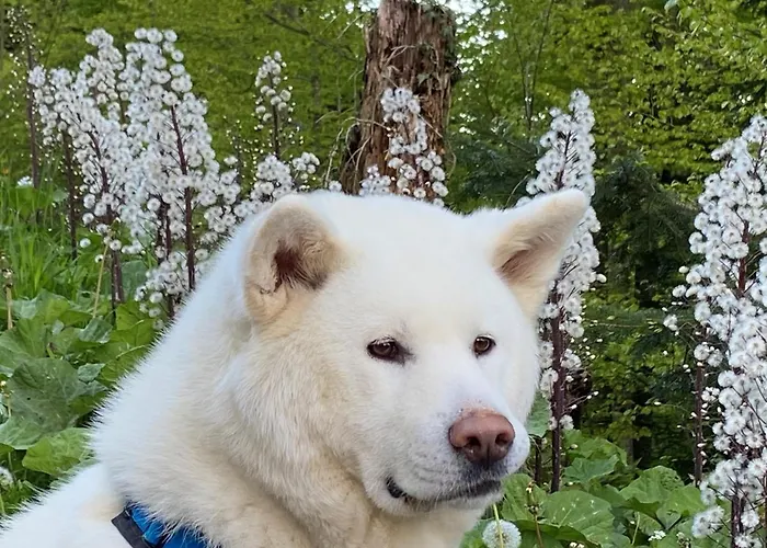 Kwatera prywatna Doppelzimmer In Charmantem