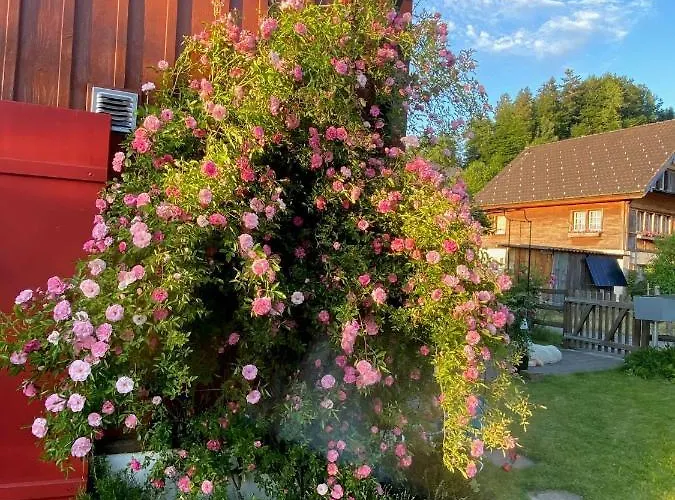 Kwatera prywatna Doppelzimmer In Charmantem Hemberg