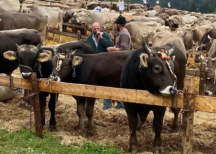 Doppelzimmer In Charmantem * Hemberg